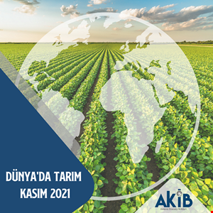 Dünya'da Tarım - Kasım 2021